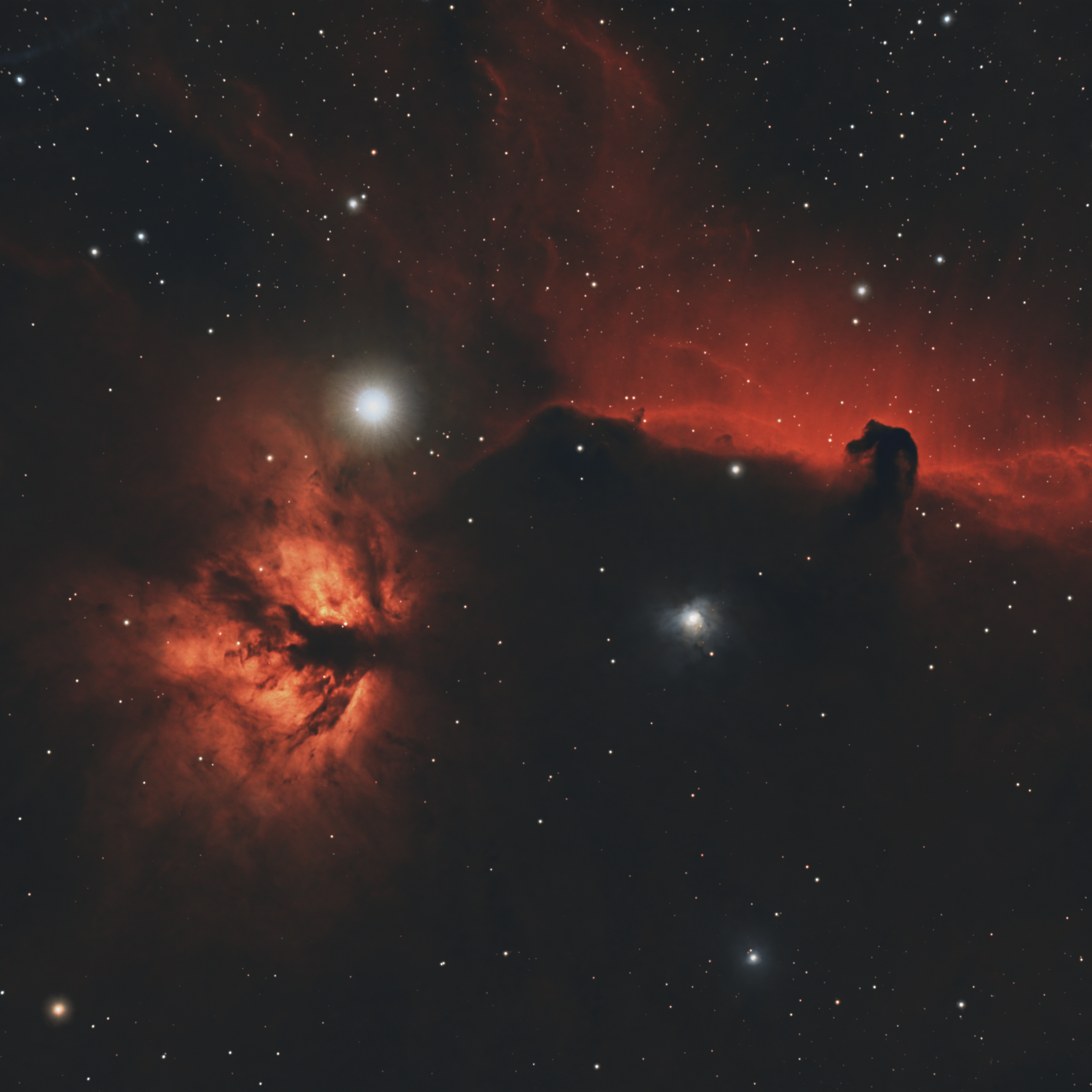 The Flame and Horsehead Nebulae: A Cosmic Duo – Astro-Shed