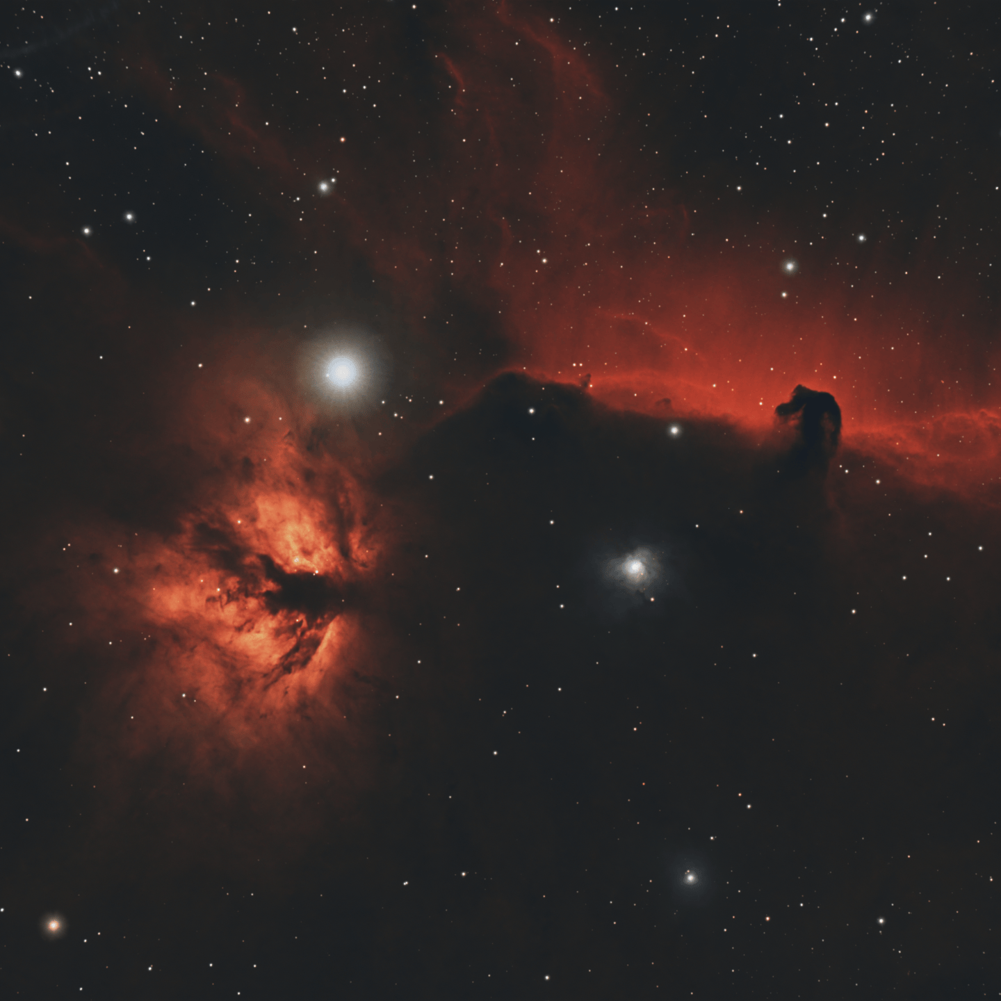 The Flame and Horsehead Nebulae: A Cosmic Duo – Astro-Shed