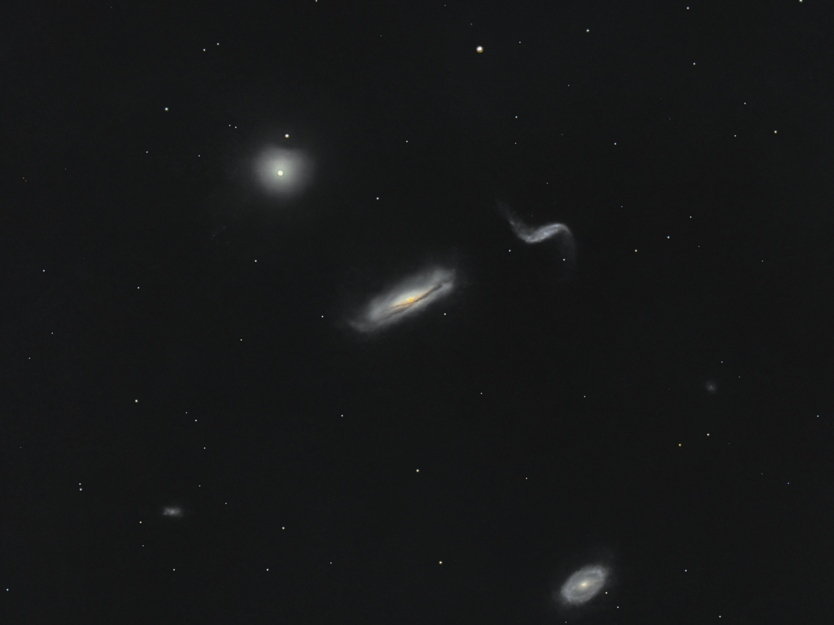 Exploring the Gamma Leonis Group: A Galaxy’s&nbsp;Showcase