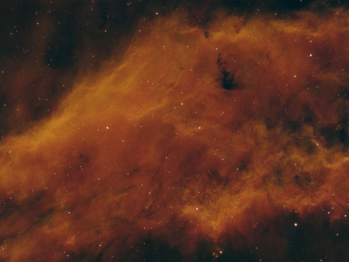Astrophotography of NGC 1499: The California Nebula&nbsp;Unveiled